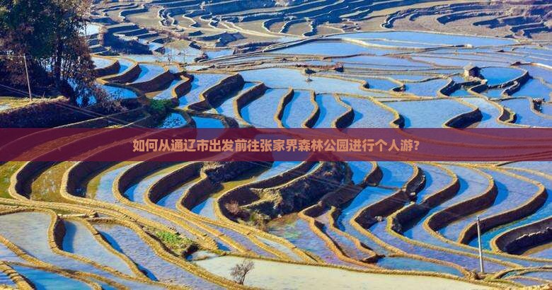 如何从通辽市出发前往张家界森林公园进行个人游？
