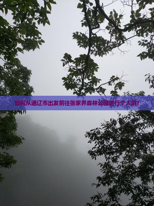 如何从通辽市出发前往张家界森林公园进行个人游？