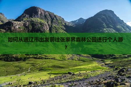 如何从通辽市出发前往张家界森林公园进行个人游？