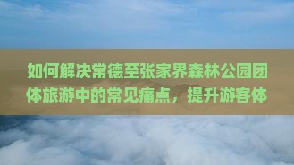 如何解决常德至张家界森林公园团体旅游中的常见痛点，提升游客体验？