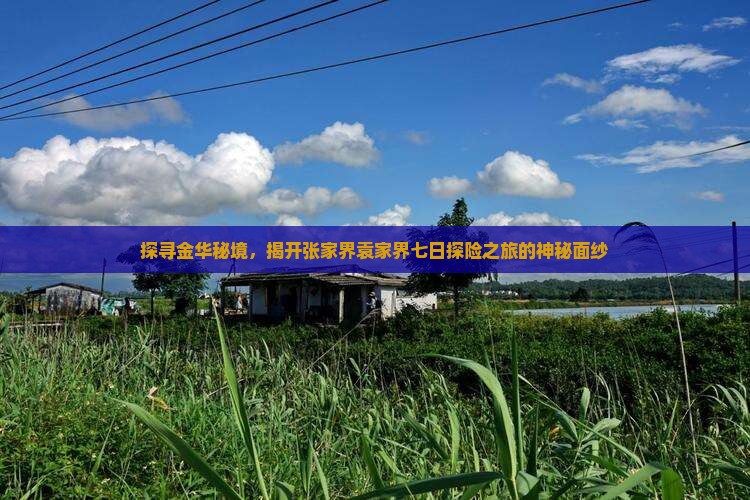 探寻金华秘境，揭开张家界袁家界七日探险之旅的神秘面纱