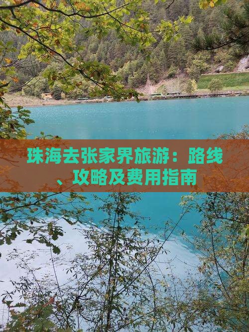 珠海去张家界旅游：路线、攻略及费用指南