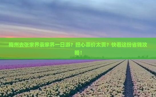 梅州去张家界袁家界一日游？担心票价太贵？快看这份省钱攻略！
