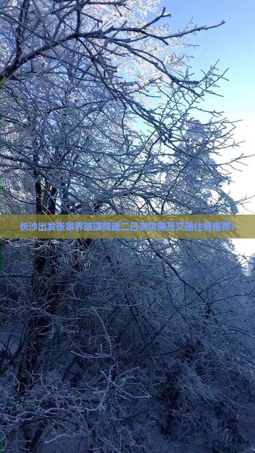 长沙出发张家界玻璃栈道二日游攻略及交通住宿推荐？