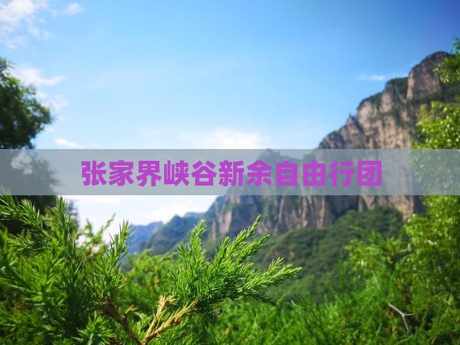 张家界峡谷新余自由行团
