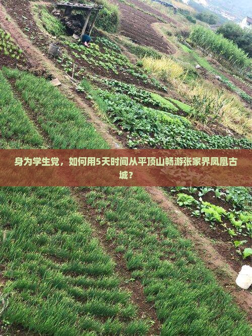 身为学生党，如何用5天时间从平顶山畅游张家界凤凰古城？