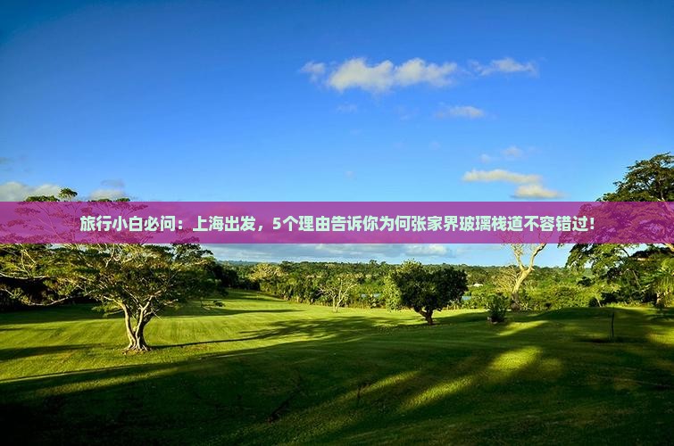 旅行小白必问：上海出发，5个理由告诉你为何张家界玻璃栈道不容错过！