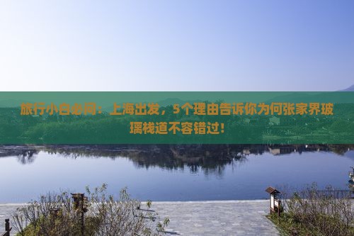旅行小白必问：上海出发，5个理由告诉你为何张家界玻璃栈道不容错过！
