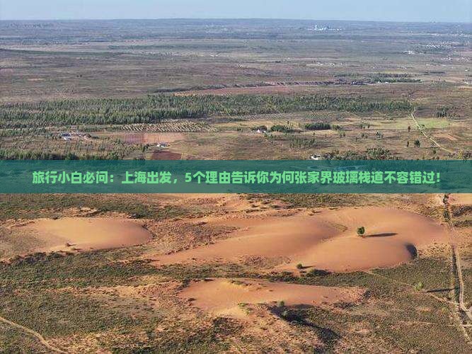 旅行小白必问：上海出发，5个理由告诉你为何张家界玻璃栈道不容错过！