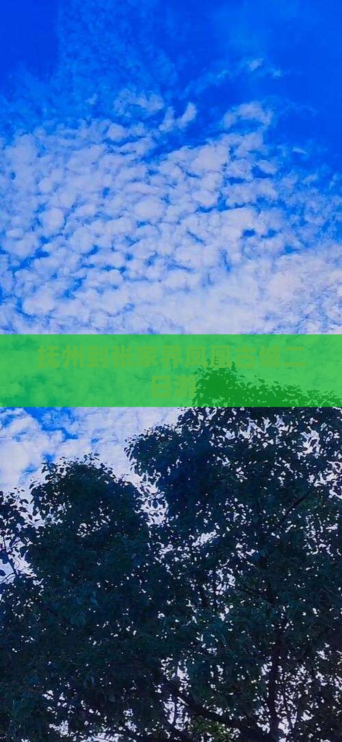 抚州到张家界凤凰古城二日游