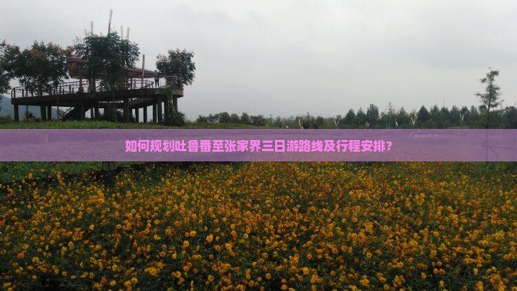 如何规划吐鲁番至张家界三日游路线及行程安排？
