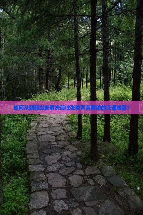 如何从朝阳出发解决前往张家界芙蓉镇的交通难题？