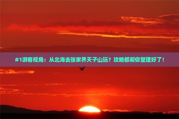 #1游客视角：从北海去张家界天子山玩？攻略都帮你整理好了！
