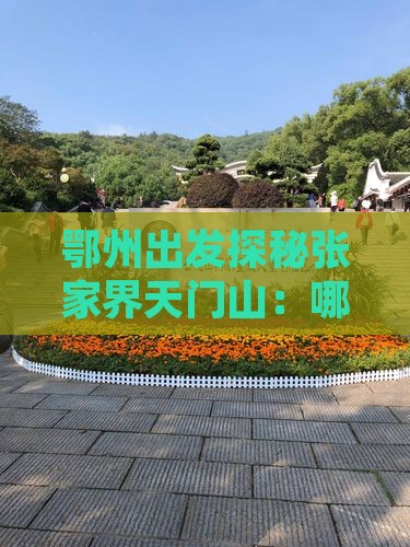 鄂州出发探秘张家界天门山：哪里值得一游？