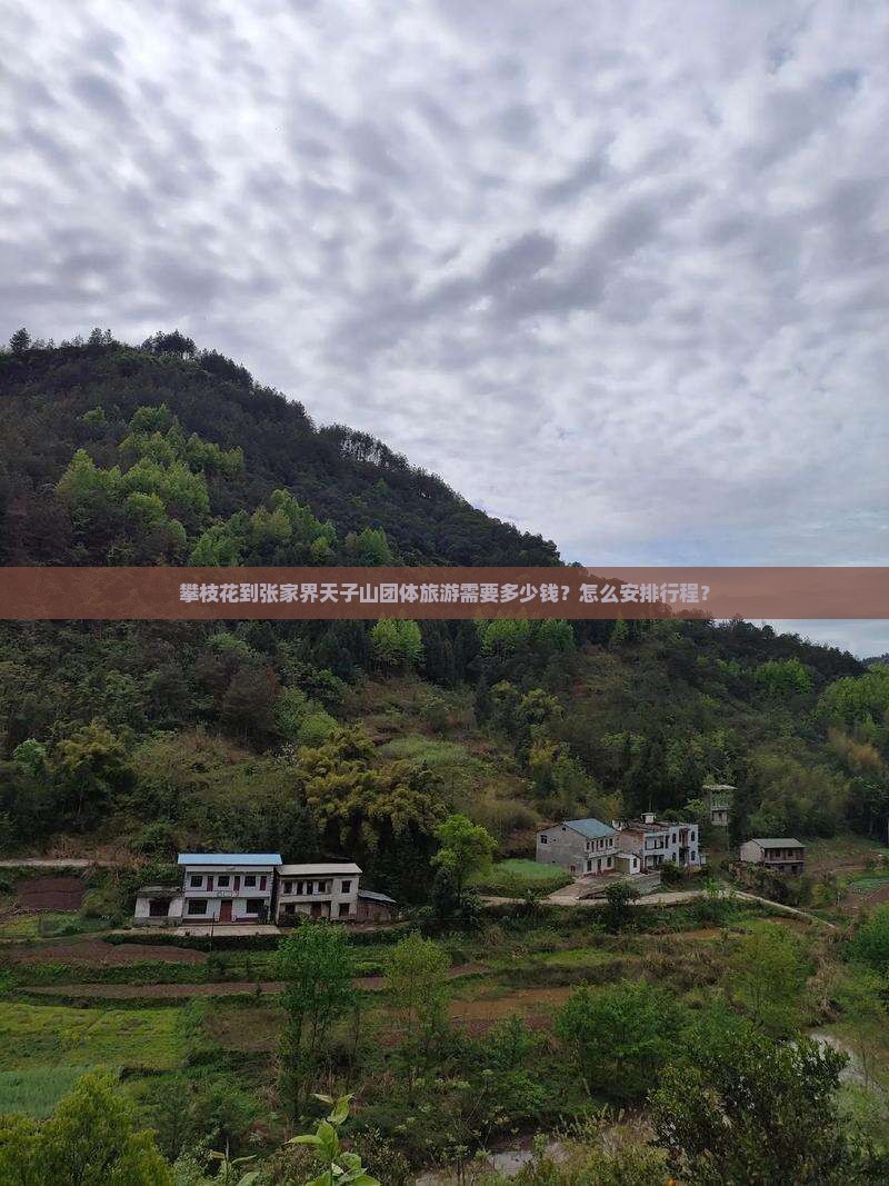攀枝花到张家界天子山团体旅游需要多少钱？怎么安排行程？