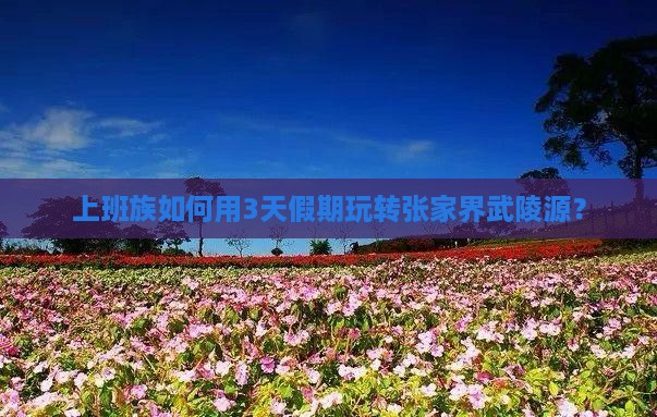 上班族如何用3天假期玩转张家界武陵源？