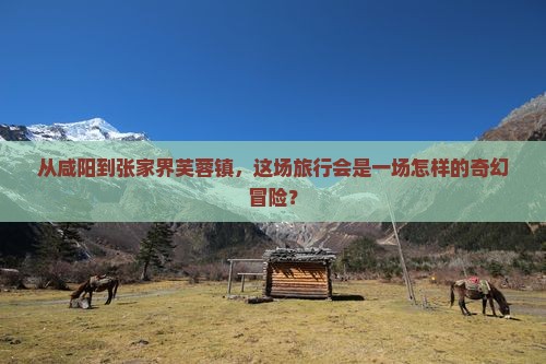 从咸阳到张家界芙蓉镇，这场旅行会是一场怎样的奇幻冒险？