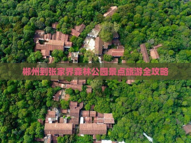 郴州到张家界森林公园景点旅游全攻略