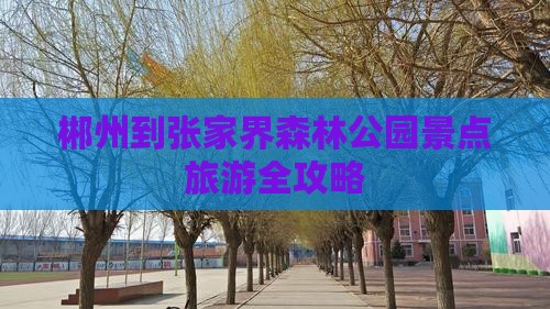 郴州到张家界森林公园景点旅游全攻略