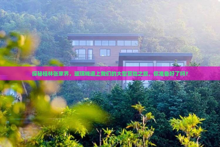 探秘桂林张家界，玻璃栈道上我们的大型冒险之旅，你准备好了吗？