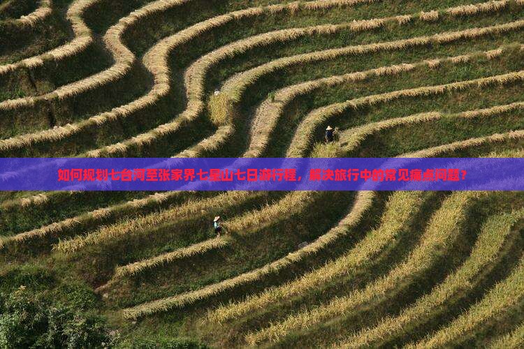 如何规划七台河至张家界七星山七日游行程，解决旅行中的常见痛点问题？