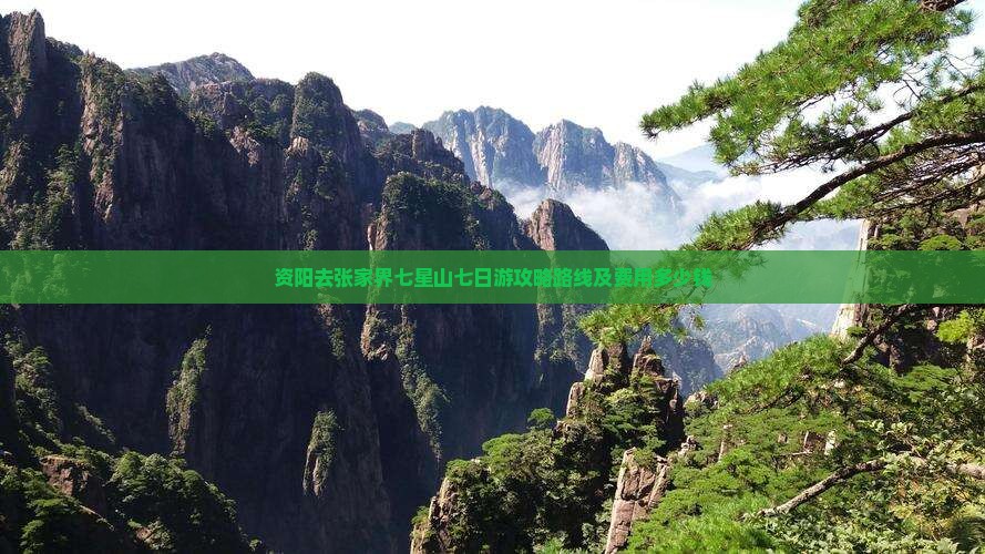 资阳去张家界七星山七日游攻略路线及费用多少钱