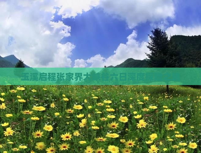 玉溪启程张家界大峡谷六日深度探险之旅