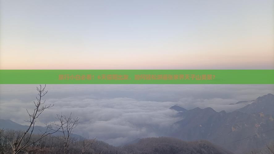 旅行小白必看！6天信阳出发，如何轻松游遍张家界天子山美景？