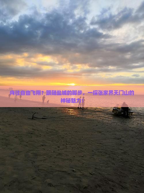 向往自由飞翔？跟随盐城的脚步，一探张家界天门山的神秘魅力！