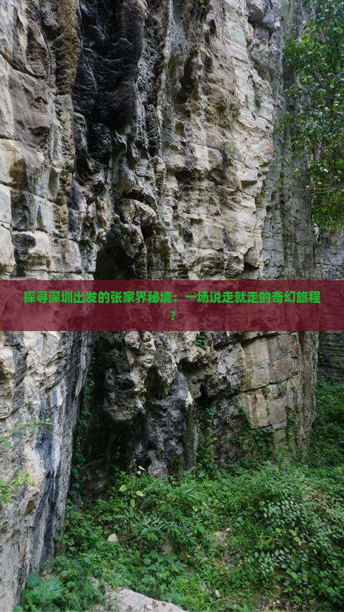 探寻深圳出发的张家界秘境：一场说走就走的奇幻旅程？