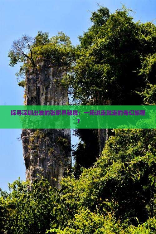 探寻深圳出发的张家界秘境：一场说走就走的奇幻旅程？