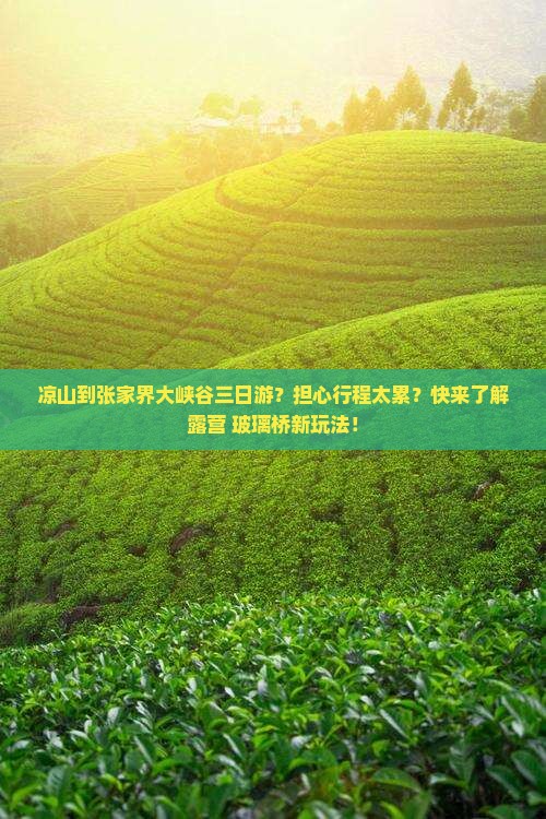 凉山到张家界大峡谷三日游？担心行程太累？快来了解露营+玻璃桥新玩法！