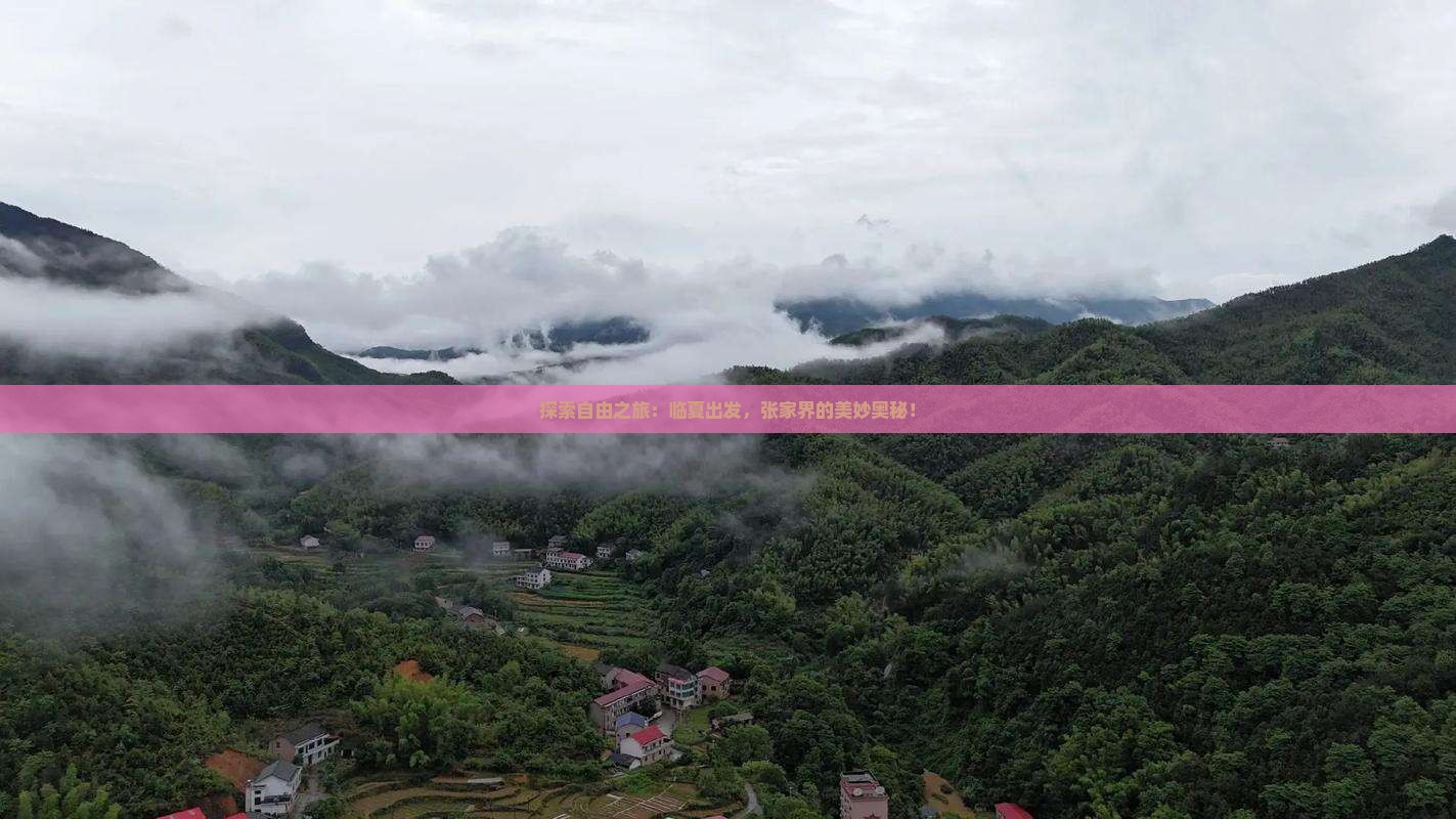 探索自由之旅：临夏出发，张家界的美妙奥秘！