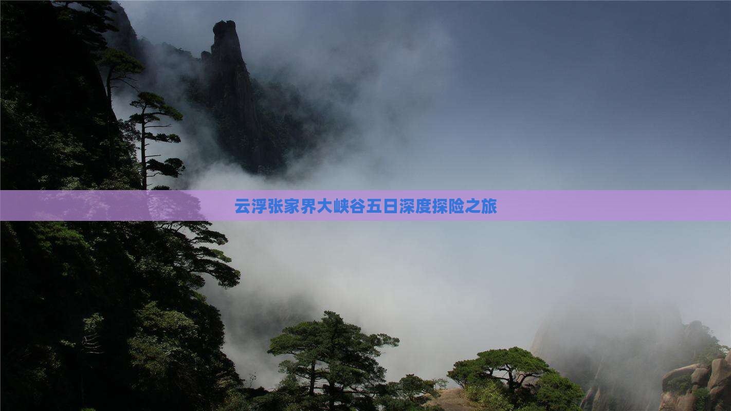 云浮张家界大峡谷五日深度探险之旅