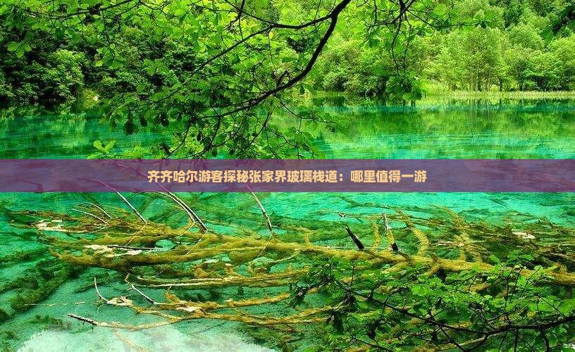 齐齐哈尔游客探秘张家界玻璃栈道：哪里值得一游