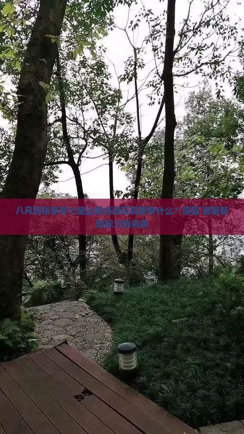 八月到张家界七星山景点游玩需要带什么？露营+避暑新地标火热来袭