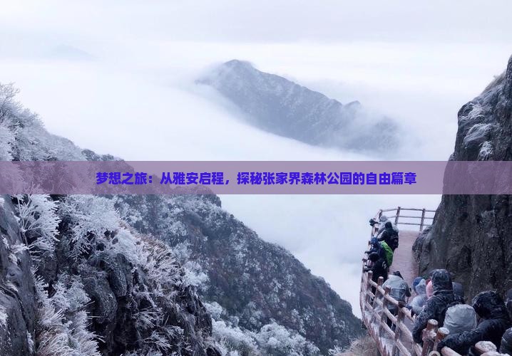 梦想之旅：从雅安启程，探秘张家界森林公园的自由篇章