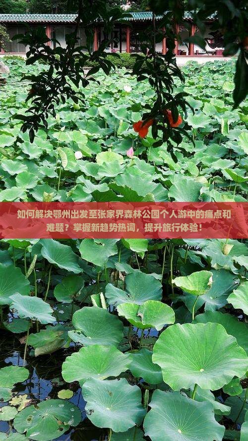 如何解决鄂州出发至张家界森林公园个人游中的痛点和难题？掌握新趋势热词，提升旅行体验！