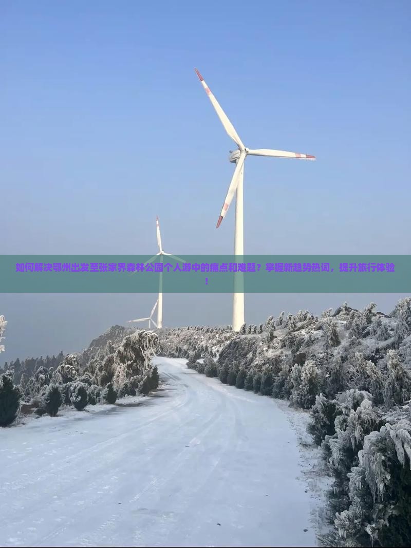 如何解决鄂州出发至张家界森林公园个人游中的痛点和难题？掌握新趋势热词，提升旅行体验！