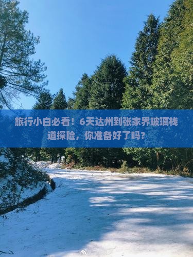 旅行小白必看!6天达州到张家界玻璃栈道探险,你准备好了吗? 旅行小白必看!6天达州到张家界玻璃栈道探险,你准备好了吗?