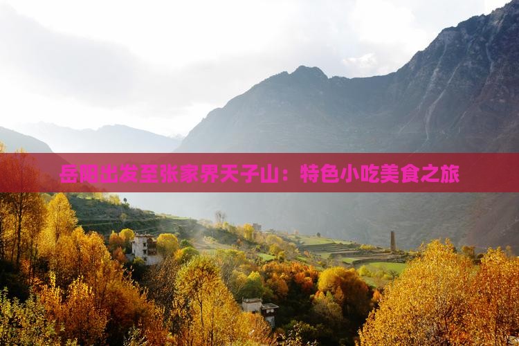 岳阳出发至张家界天子山:特色小吃美食之旅 岳阳出发至张家界天子山:特色小吃美食之旅