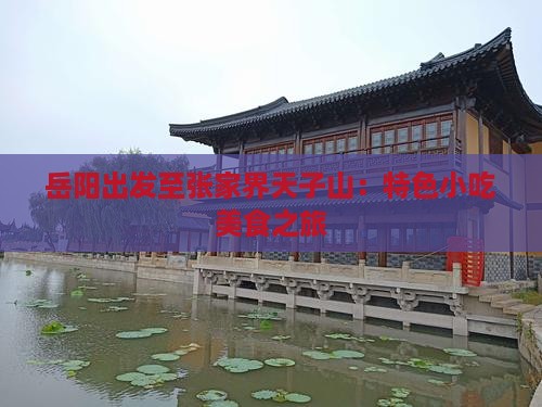 岳阳出发至张家界天子山:特色小吃美食之旅 岳阳出发至张家界天子山:特色小吃美食之旅