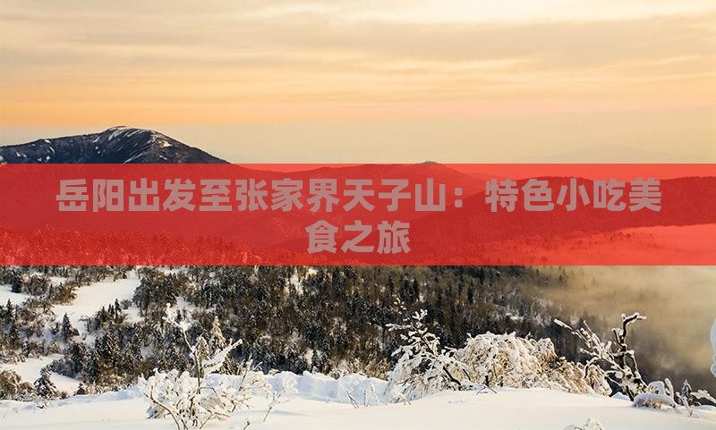 岳阳出发至张家界天子山:特色小吃美食之旅 岳阳出发至张家界天子山:特色小吃美食之旅