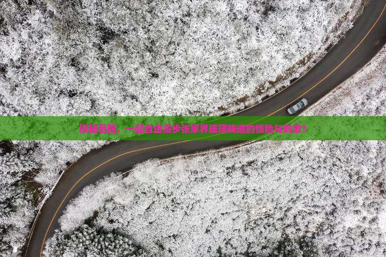 探秘岳阳，一起自由漫步张家界玻璃栈道的惊险与刺激？