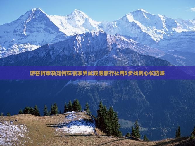 游客阿泰勒如何在张家界武陵源旅行社用5步找到心仪路峡