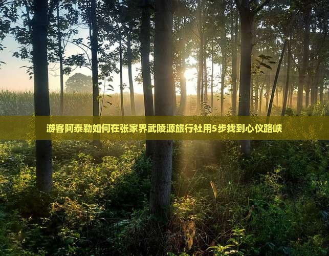 游客阿泰勒如何在张家界武陵源旅行社用5步找到心仪路峡