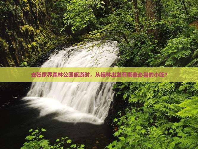 去张家界森林公园旅游时，从桂林出发有哪些必尝的小吃？