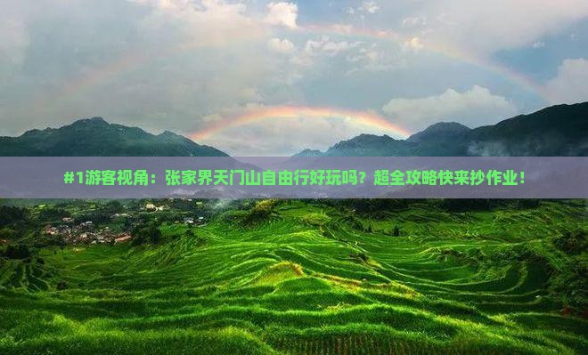 #1游客视角：张家界天门山自由行好玩吗？超全攻略快来抄作业！