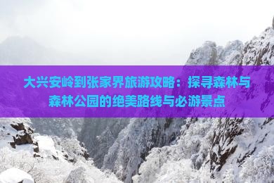 大兴安岭到张家界旅游攻略：探寻森林与森林公园的绝美路线与必游景点