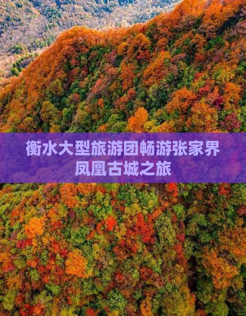 衡水大型旅游团畅游张家界凤凰古城之旅